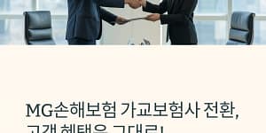 MG손해보험 가교보험사