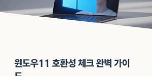 윈도우11 설치