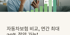 자동차보험 비교