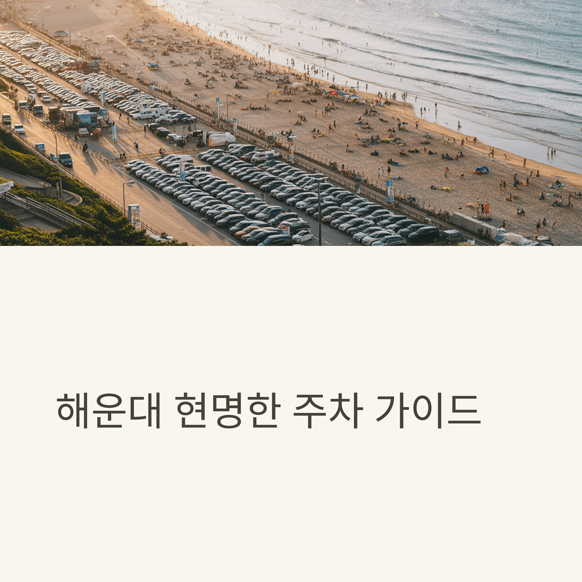 해운대 무료 주차 성공 팁! 현지인이 추천하는 가성비 주차장 완벽 가이드 | 카인코리아